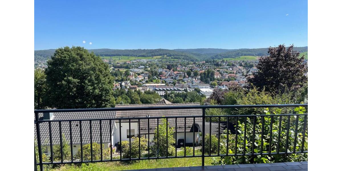 2-Zimmer Panorama-Apartment Erbach Bestlage 2 zimmer