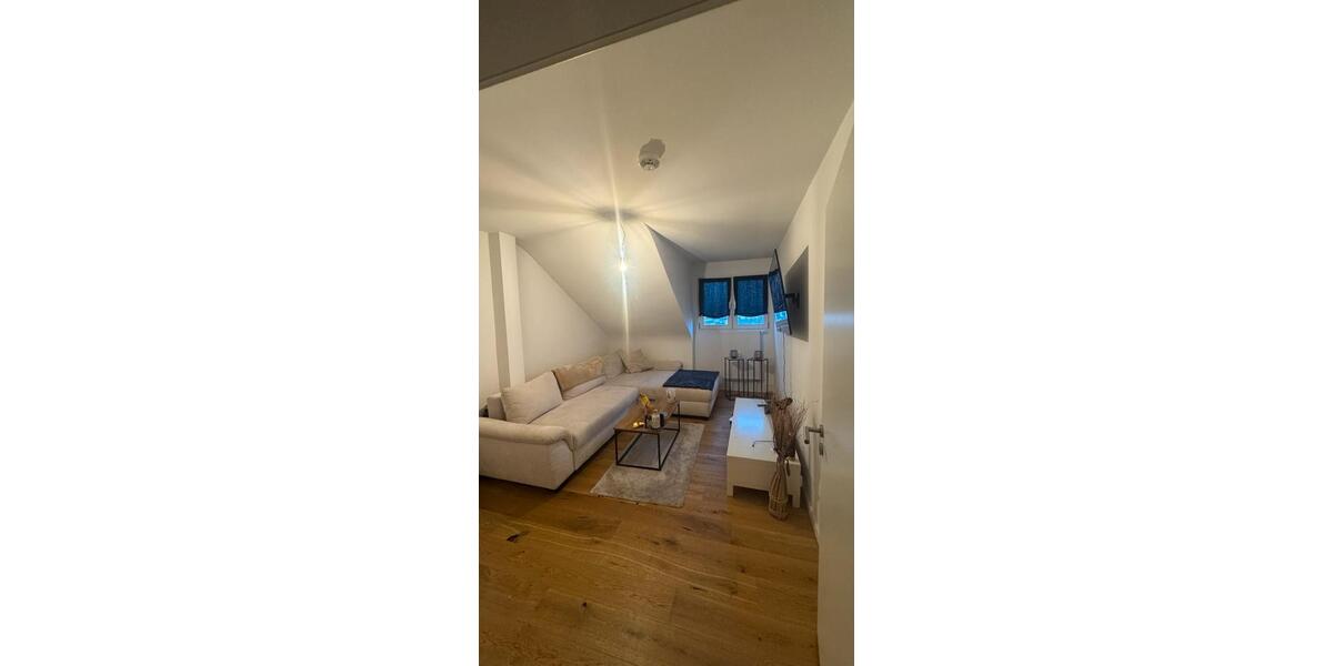 Dachgeschoßwohnung Offenbach am Main Hafen - 2 Zimmer, 50 m&sup2;, 1.100&euro; | Angebot:24691816