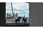 Exklusives Penthouse in Speyer – Ihr Traum über den Dächern!