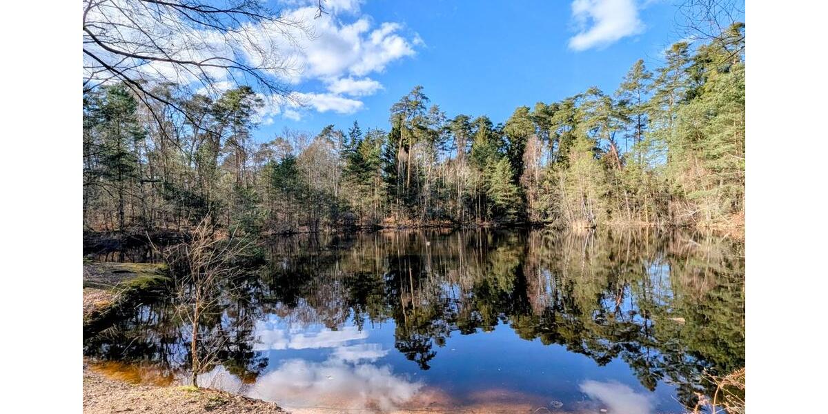 Wohnen auf Zeit Wörth am Rhein - 1 Zimmer, 18 m&sup2;, 45&euro; | Angebot:25616564