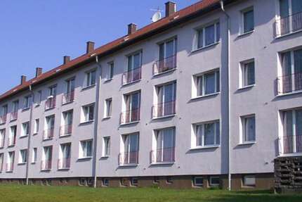 Wohnung zum Mieten in Benneckenstein (Harz) 278 € 46.2 m² 2 zimmer