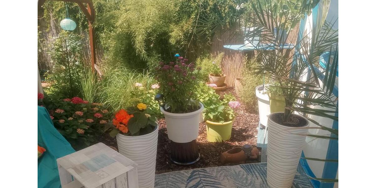 Wohnen auf Zeit Mönchengladbach Ost - 1 Zimmer, 18 m&sup2;, 450&euro; | Angebot:26005970