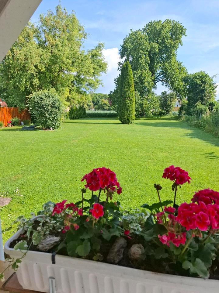3 Zimmer, Küche, Tageslichtbad + Kellerraum
