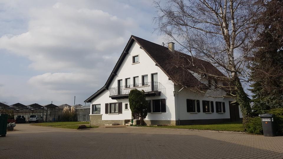 Wohnen auf Zeit Heidelberg Handschuhsheim - 5 Zimmer, 130 m&sup2;, 695&euro; | Angebot:25640754