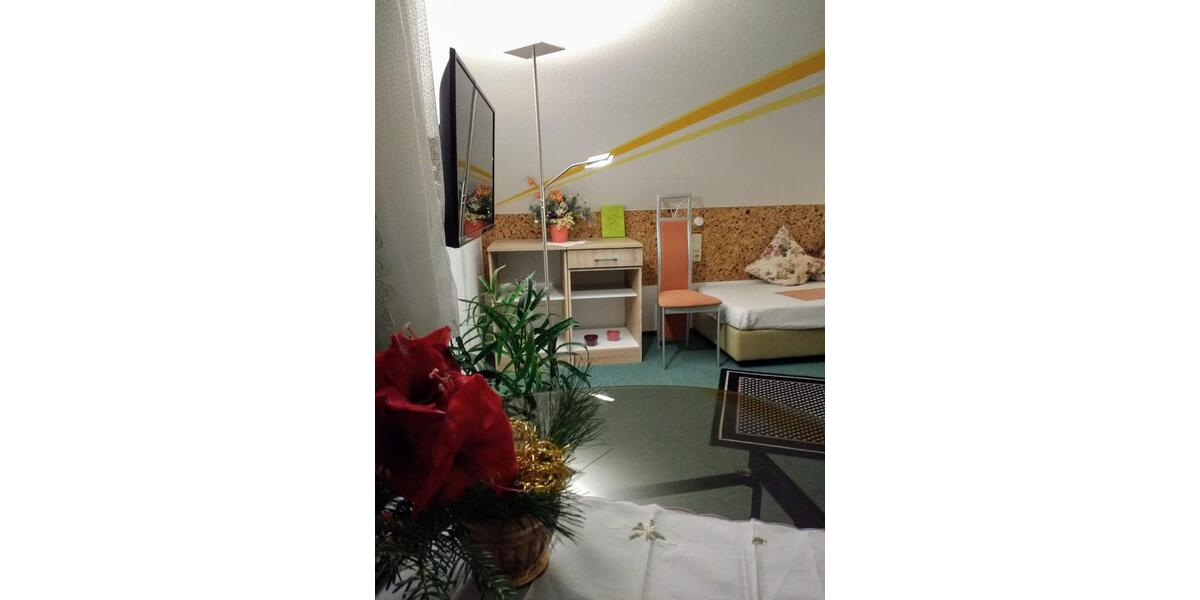 Etagenwohnung Thermalbad Wiesenbad - 1 Zimmer, 25 m&sup2;, 339&euro; | Angebot:25929795