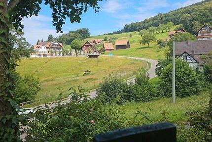 Wohnung Sasbachwalden - 1 Zimmer, 25 m&sup2;, 350&euro; | Angebot:24521086