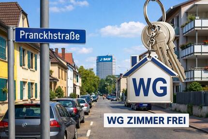 Wohnen auf Zeit Mannheim Neckarstadt-Ost - 4 Zimmer, 100 m&sup2;, 450&euro; | Angebot:25957660