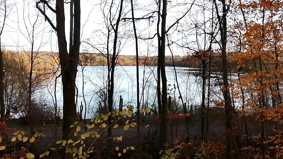 Wohnen auf Zeit Köln Mülheim - 1 Zimmer, 64 m&sup2;, 450&euro; | Angebot:24689112