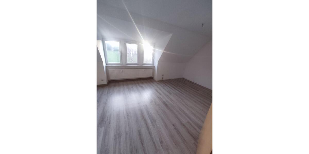 Dachgeschoßwohnung Waldheim - 3 Zimmer, 60 m&sup2;, 350&euro; | Angebot:24002246
