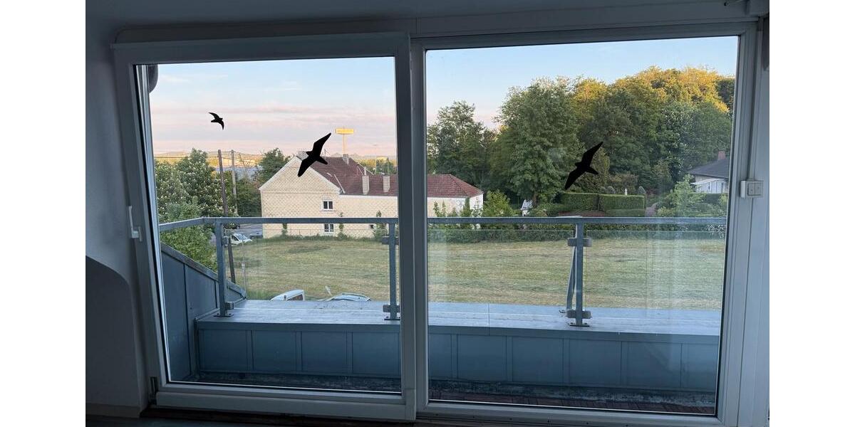 Dachgeschoßwohnung Saarlouis - 2 Zimmer, 100 m&sup2;, 780&euro; | Angebot:26517523