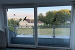 Dachgeschoßwohnung Saarlouis - 2 Zimmer, 100 m&sup2;, 780&euro; | Angebot:26517523