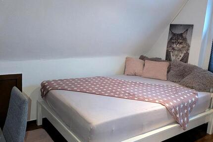 Wohnen auf Zeit Westerrönfeld - 1 Zimmer, 12 m&sup2;, 375&euro; | Angebot:24976904