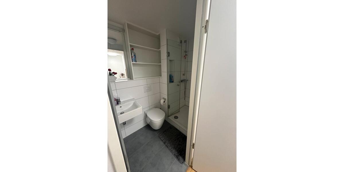 Wohnen auf Zeit Mannheim - 1 Zimmer, 25 m&sup2;, 400&euro; | Angebot:25746836