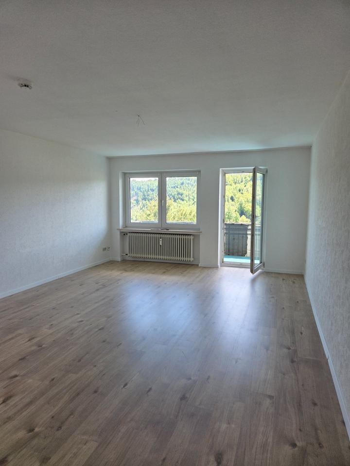 Frisch renovierte 3 Zimmer Wohnung - schöner Ausblick inklusive!