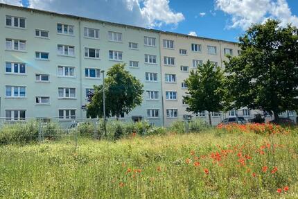 Wohnung Demmin - 2 Zimmer, 48 m&sup2;, 315&euro; | Angebot:26365421