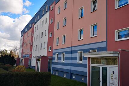 Wohnung Bergen auf Rügen - 1 Zimmer, 26 m&sup2;, 250&euro; | Angebot:25097692