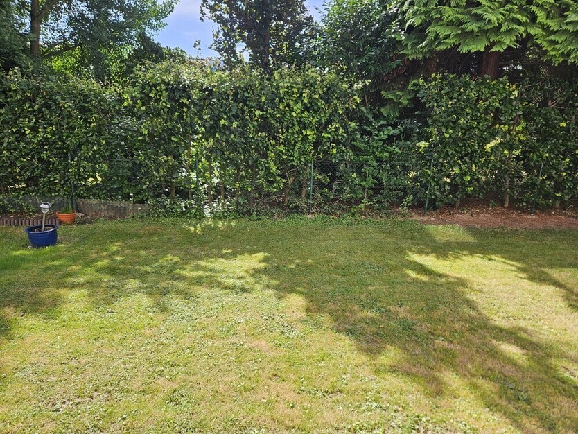 Büro oder Praxis für Heilpraktiker und Co. *Stellplatz *Terrasse