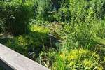Gewerbeobjekt Bruchsal - 195&euro; | Angebot:25875513