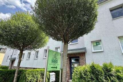 Wohnung zum Mieten in Chemnitz 280 € 46 m² 3 zimmer