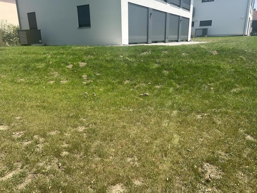 Exklusive NEUBAU Erdgeschoßwohnung Barrierefrei