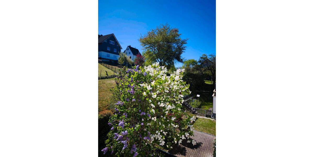Etagenwohnung Siegen Dillnhütten - 3 Zimmer, 75 m&sup2;, 4.200&euro; | Angebot:26384334