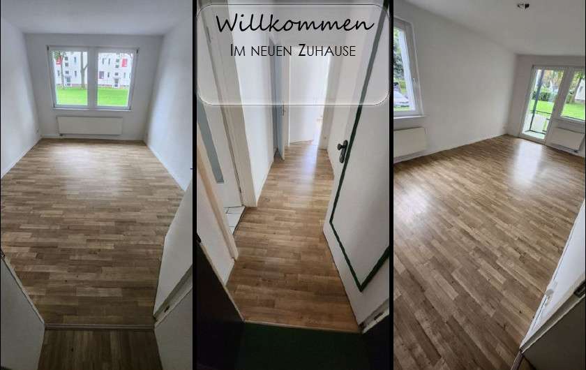 Wohnung zum Mieten in Chemnitz 340 € 62.02 m² 3 zimmer