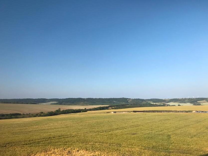 Wohnung zu vermieten