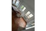 Wohnen auf Zeit Offenbach am Main Bürgel - 5 Zimmer, 92 m&sup2;, 457&euro; | Angebot:26560800