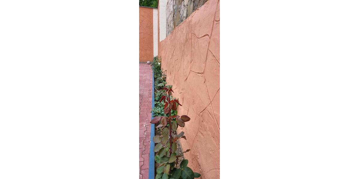 Erdgeschoßwohnung Plauen - 4 Zimmer, 110 m&sup2;, 700&euro; | Angebot:24804299