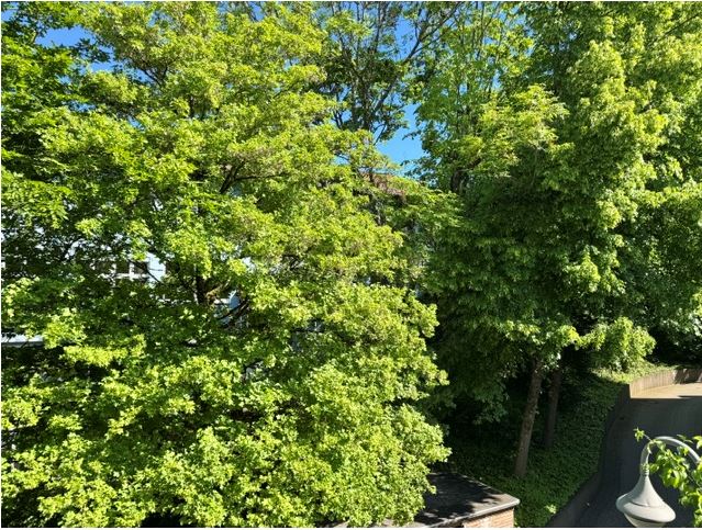Stilvolle Wohnkultur in begehrter Innenstadtlage von Königstein - Etagenwohnung Königstein | Angebot:26726063