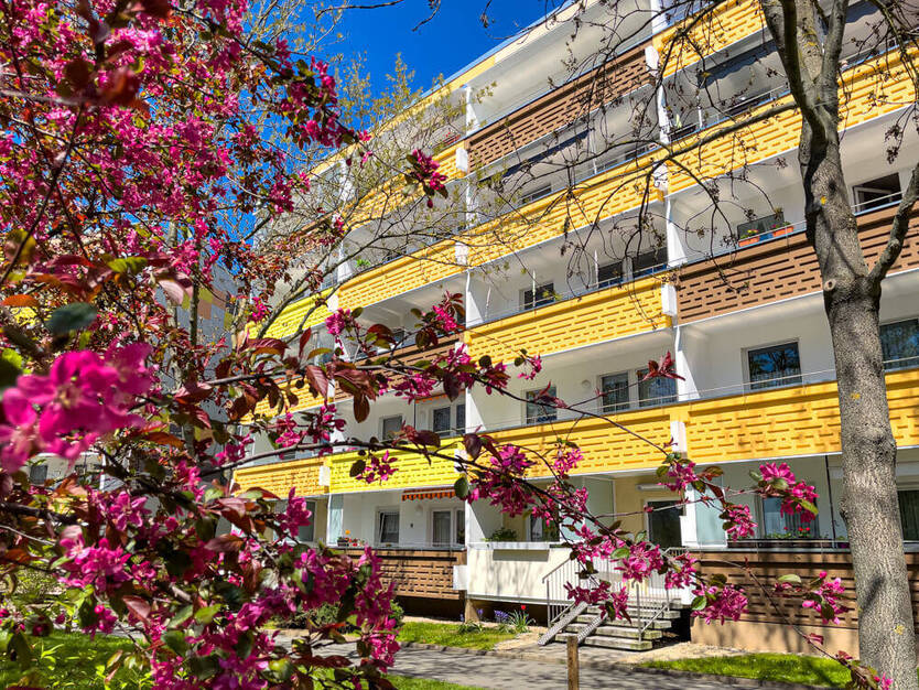 Wohnträume in gemütlicher 1-Raum-Wohnung