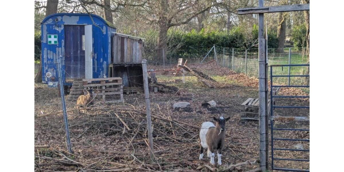 Wohnen auf Zeit Lilienthal - 8 Zimmer, 200 m&sup2;, 753&euro; | Angebot:25992033