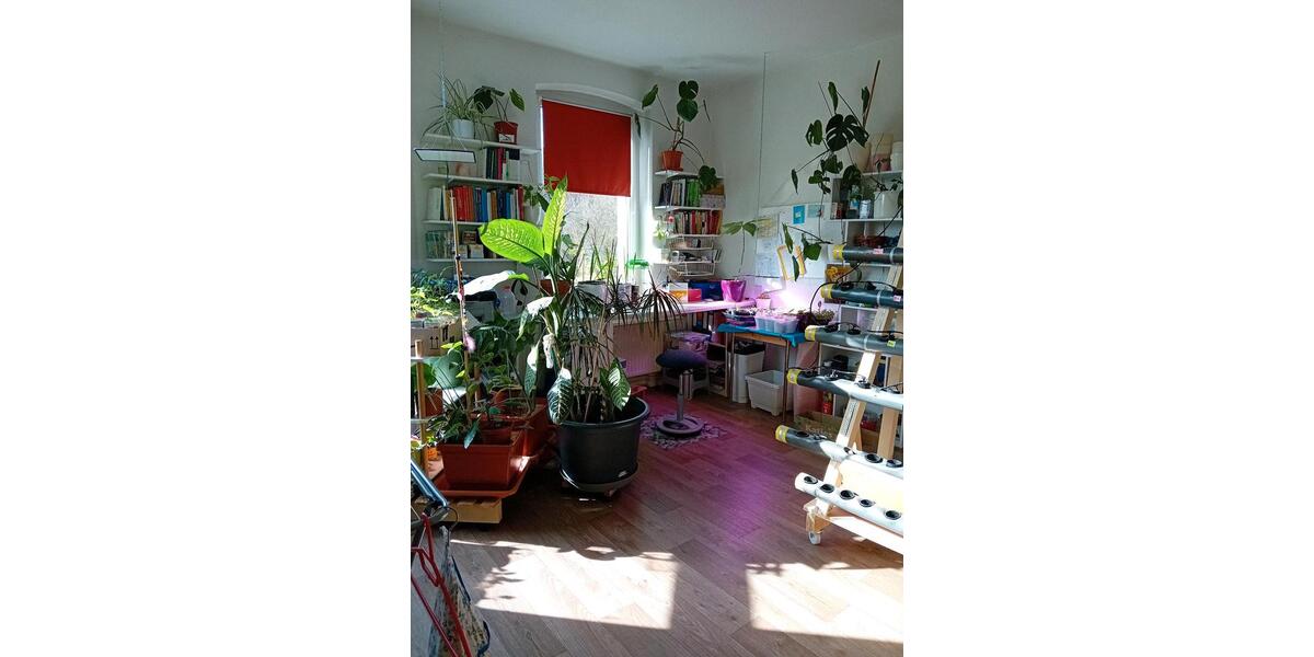 Wohnen auf Zeit Eberswalde - 13 Zimmer, 72 m&sup2;, 500&euro; | Angebot:26089586