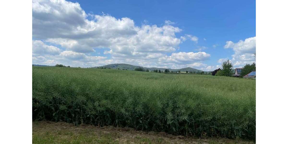 2026 im neuen Zuhause! 3 Zimmer, Garage möglich! - Erdgeschoßwohnung Elstra Kriepitz | Angebot:24485029