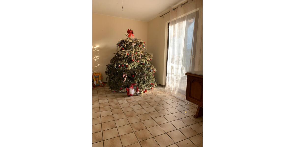 Etagenwohnung Klingenmünster - 5 Zimmer, 100 m&sup2;, 750&euro; | Angebot:24548694