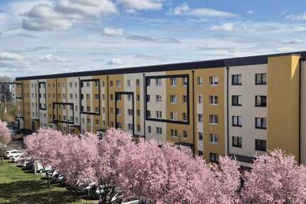 Wohnung zum Mieten in Wolmirstedt 304 € 50.67 m² 2 zimmer