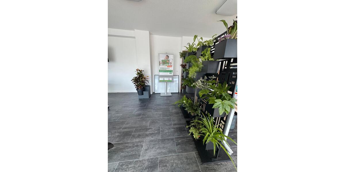 Gewerbeobjekt Wiesbaden Bierstadt - 1.000&euro; | Angebot:24844058