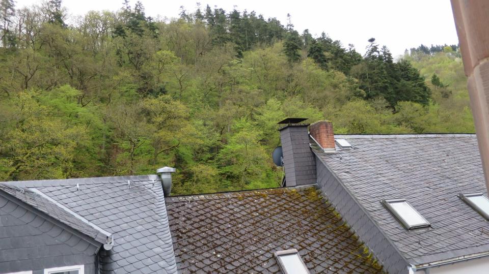 Etagenwohnung Bad Bertrich - 1 Zimmer, 395&euro; | Angebot:23510992