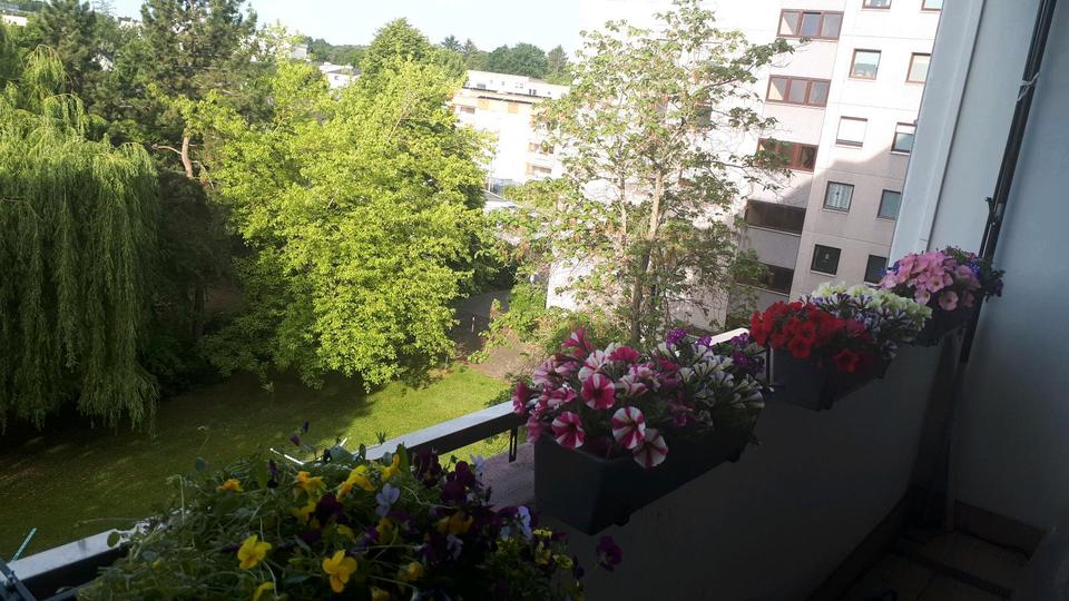 Etagenwohnung Hanau Groß-Steinheim - 1 Zimmer, 40 m&sup2;, 450&euro; | Angebot:24322276