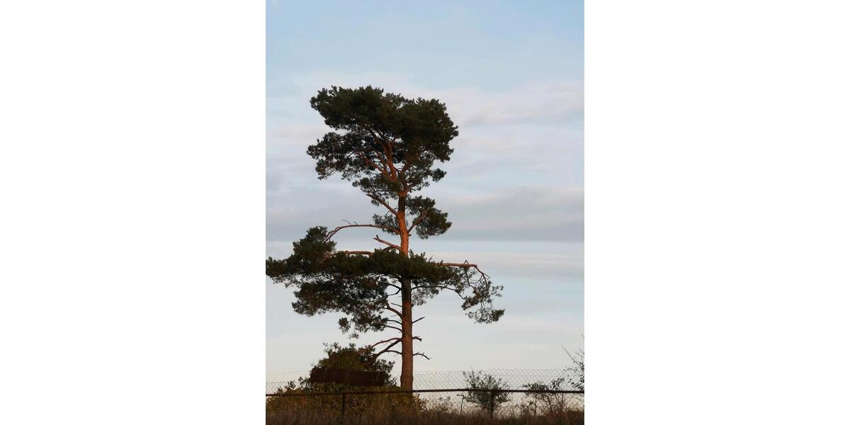 Etagenwohnung Lommatzsch - 5 Zimmer, 100 m&sup2;, 500&euro; | Angebot:9074918