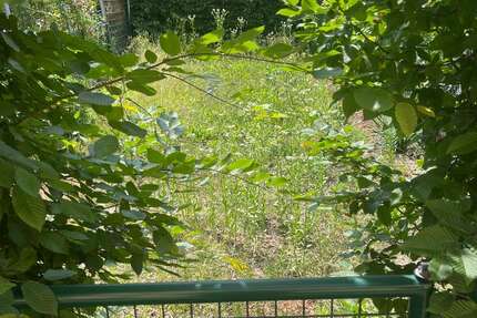 Wohnung zum Mieten in Nürnberg 465,76 € 58.22 m² 3 zimmer