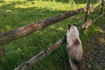 Wohnung Greven - 2 Zimmer, 55 m&sup2;, 520&euro; | Angebot:25164051