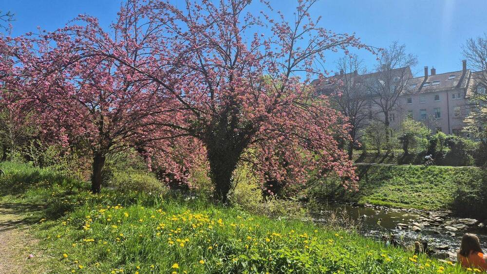 Einfamilienhaus Freiburg Oberau - 120&euro; | Angebot:25801304