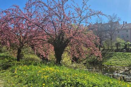 Haus Freiburg Oberau - 120&euro; | Angebot:25801304