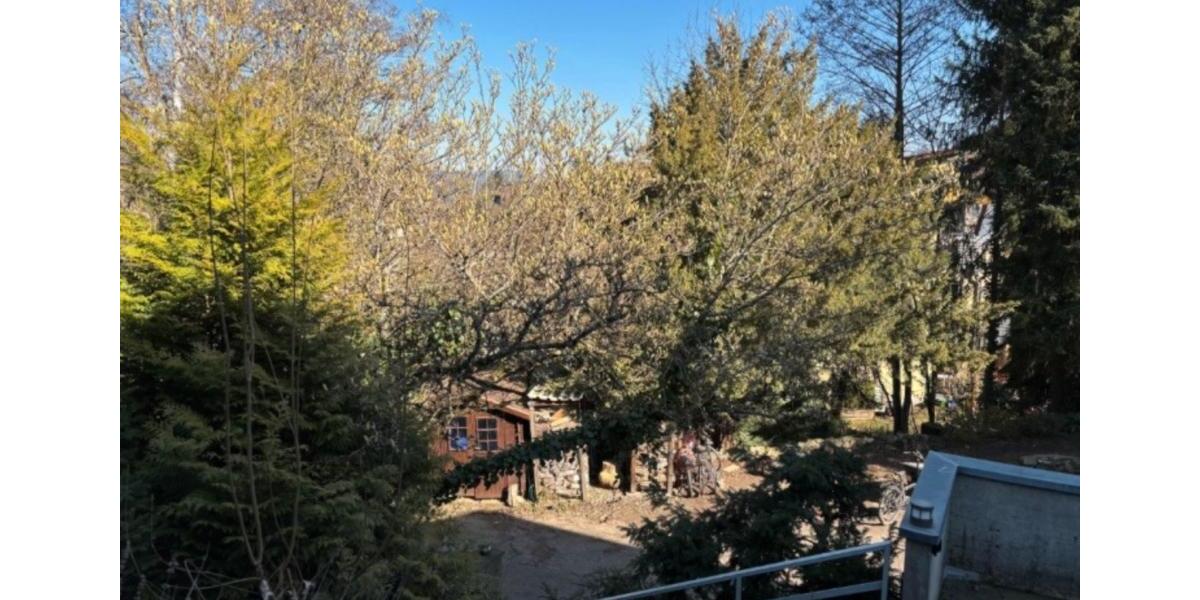 Etagenwohnung Freiburg im Breisgau Ebnet - 1 Zimmer, 14 m&sup2;, 590&euro; | Angebot:25634560