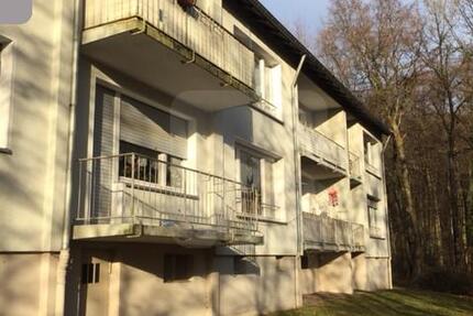Lüdenscheid-Freisenberg: 2-Zimmer-Wohnung mit Balkon in ruhiger Lage zimmer