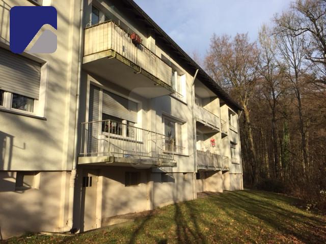 Lüdenscheid-Freisenberg: 2-Zimmer-Wohnung mit Balkon in ruhiger Lage zimmer