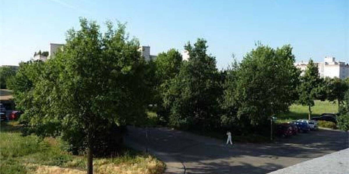 Terrassenwohnung Karlsruhe-Neureut Neureut - 3 Zimmer, 143 m&sup2;, 1.650&euro; | Angebot:25909947