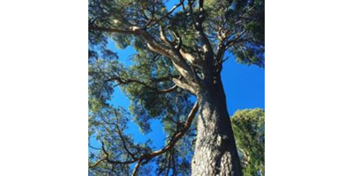 Terrassenwohnung Dornstetten - 2.5 Zimmer, 877&euro; | Angebot:23526644