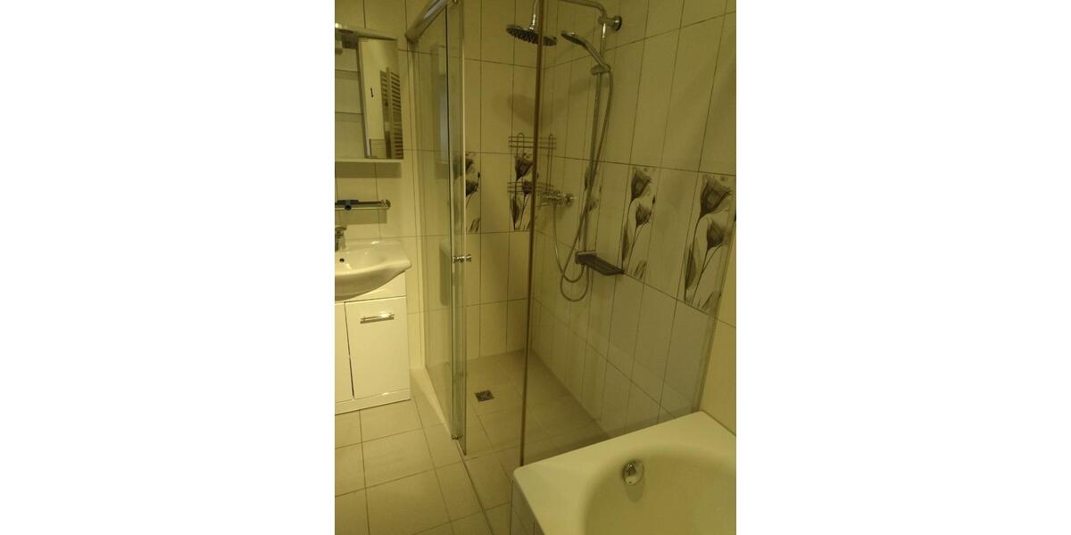 Wohnen auf Zeit Mainz Lerchenberg - 1 Zimmer, 20 m&sup2;, 400&euro; | Angebot:26403412